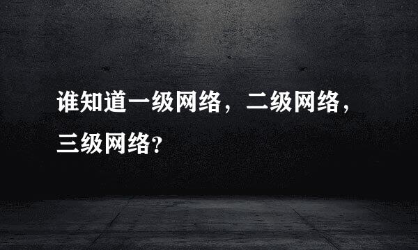 谁知道一级网络，二级网络，三级网络？