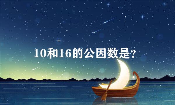 10和16的公因数是？