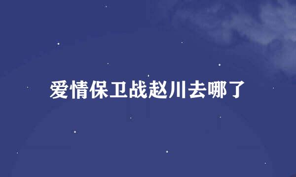 爱情保卫战赵川去哪了