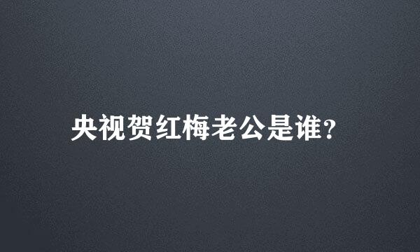 央视贺红梅老公是谁？