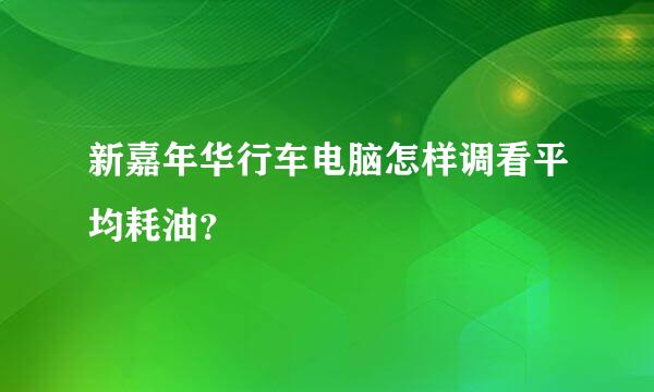 新嘉年华行车电脑怎样调看平均耗油？