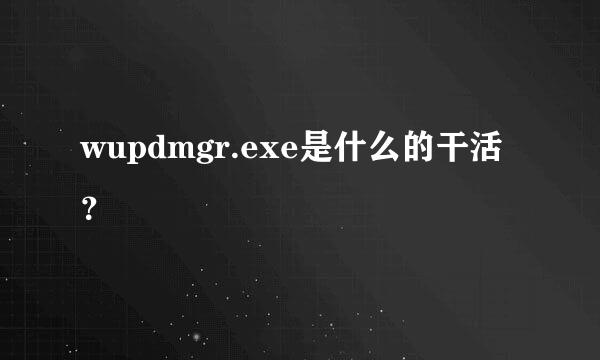 wupdmgr.exe是什么的干活？