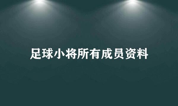 足球小将所有成员资料