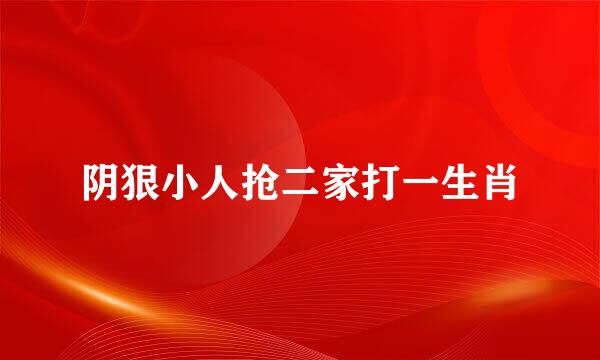 阴狠小人抢二家打一生肖