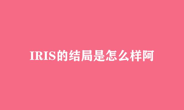 IRIS的结局是怎么样阿