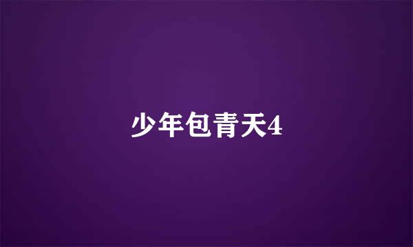 少年包青天4