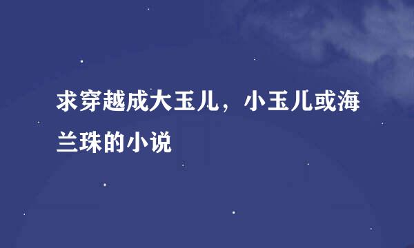 求穿越成大玉儿，小玉儿或海兰珠的小说