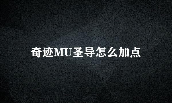 奇迹MU圣导怎么加点