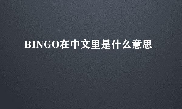 BINGO在中文里是什么意思