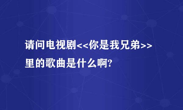 请问电视剧<<你是我兄弟>>里的歌曲是什么啊?