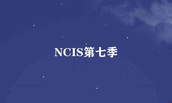 NCIS第七季