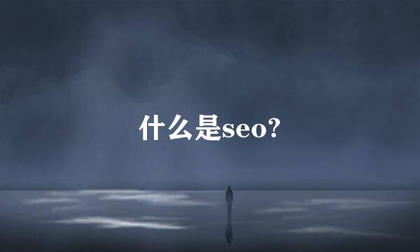 什么是seo?