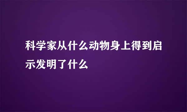 科学家从什么动物身上得到启示发明了什么