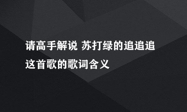 请高手解说 苏打绿的追追追 这首歌的歌词含义