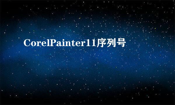 CorelPainter11序列号