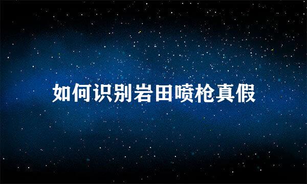 如何识别岩田喷枪真假