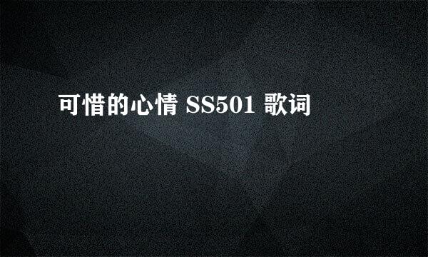 可惜的心情 SS501 歌词