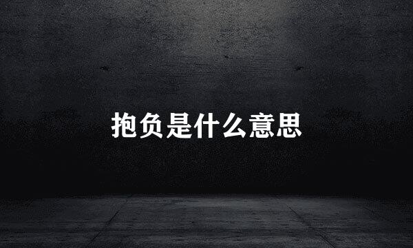 抱负是什么意思