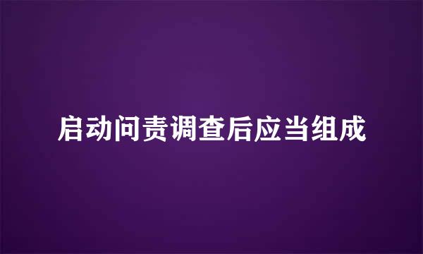 启动问责调查后应当组成