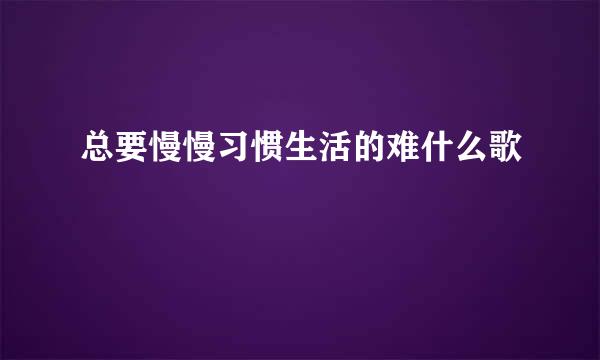 总要慢慢习惯生活的难什么歌