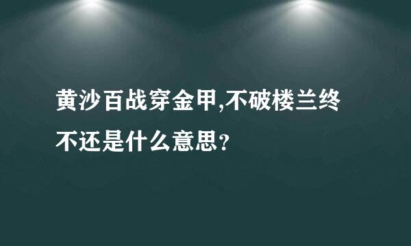 黄沙百战穿金甲,不破楼兰终不还是什么意思？