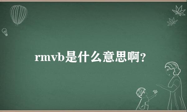 rmvb是什么意思啊？