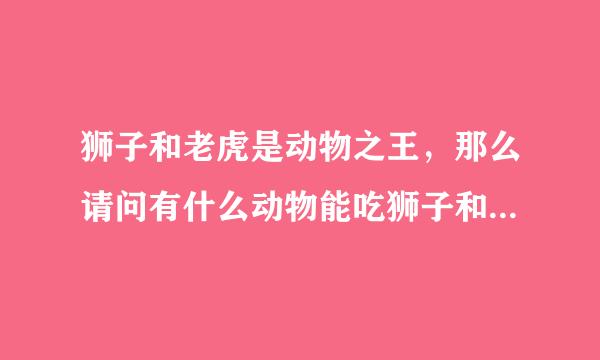 狮子和老虎是动物之王，那么请问有什么动物能吃狮子和老虎，狮子和老虎天敌又是什么动物呢？谢谢。