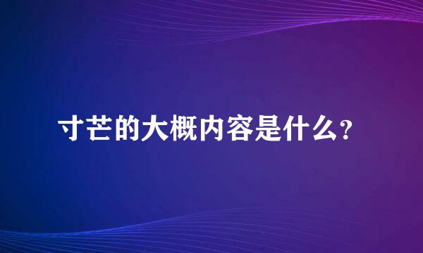 寸芒的大概内容是什么？