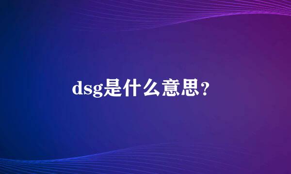 dsg是什么意思？