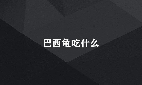 巴西龟吃什么