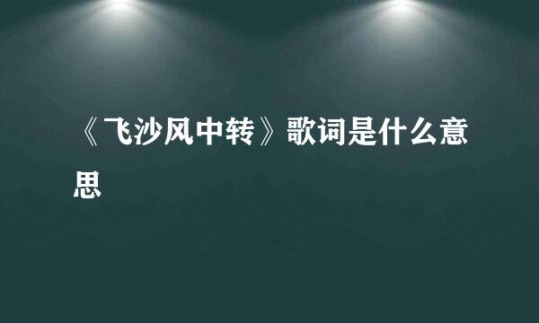 《飞沙风中转》歌词是什么意思