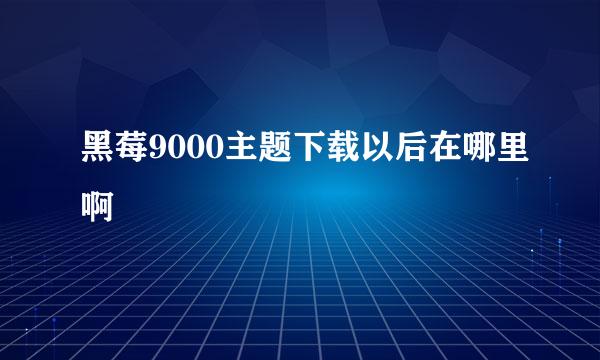 黑莓9000主题下载以后在哪里啊