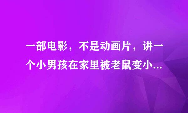 一部电影，不是动画片，讲一个小男孩在家里被老鼠变小，然后和一群途中遇到的小伙伴一起冒险