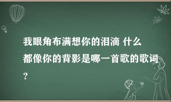 我眼角布满想你的泪滴 什么都像你的背影是哪一首歌的歌词？