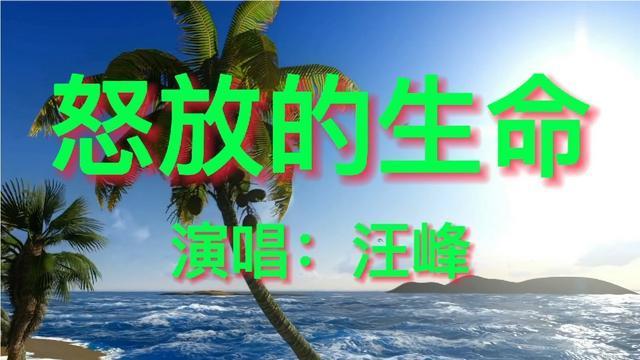 跪求汪峰的《怒放的生命》mp3百度云网盘下载