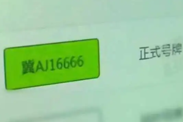 河北女子抽中尾号6666车牌离奇失踪，车管所是如何回应这件事的？