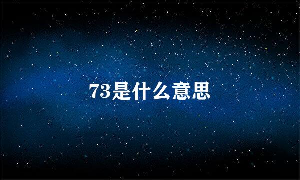 73是什么意思