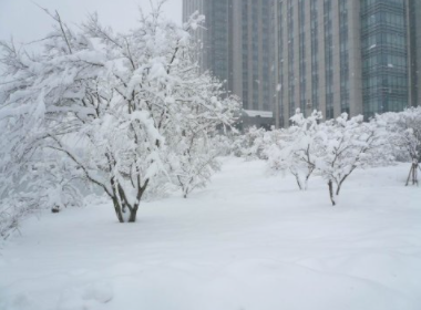 东北雪大到模糊积雪深度达42厘米，市民出行时需要注意哪些问题？