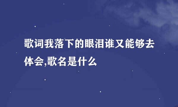 歌词我落下的眼泪谁又能够去体会,歌名是什么