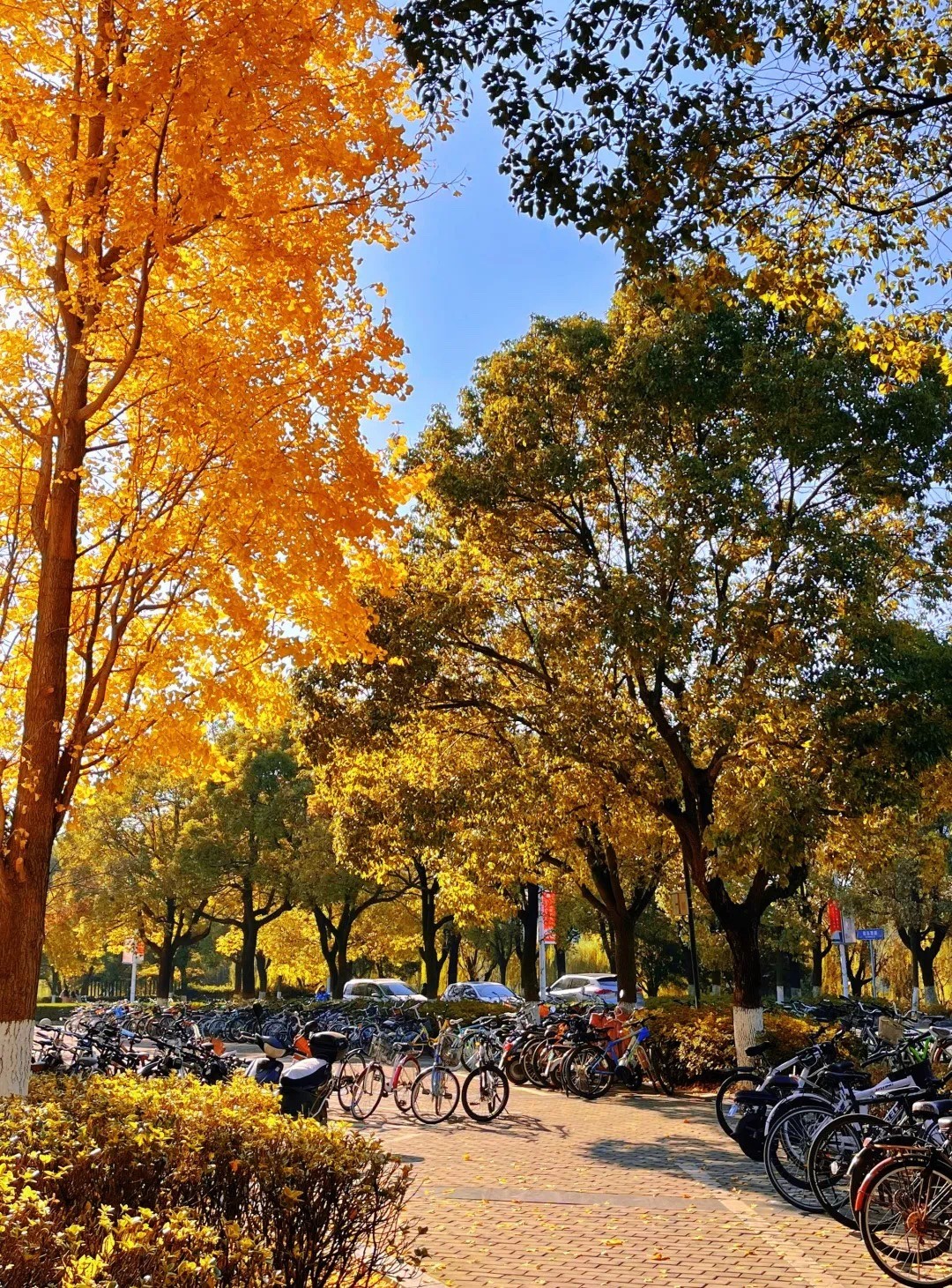 苏州科技大学怎么样