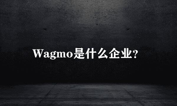 Wagmo是什么企业？