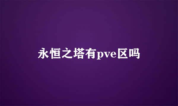 永恒之塔有pve区吗