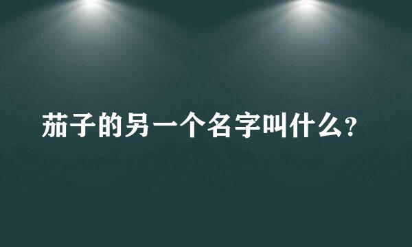 茄子的另一个名字叫什么？