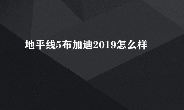 地平线5布加迪2019怎么样