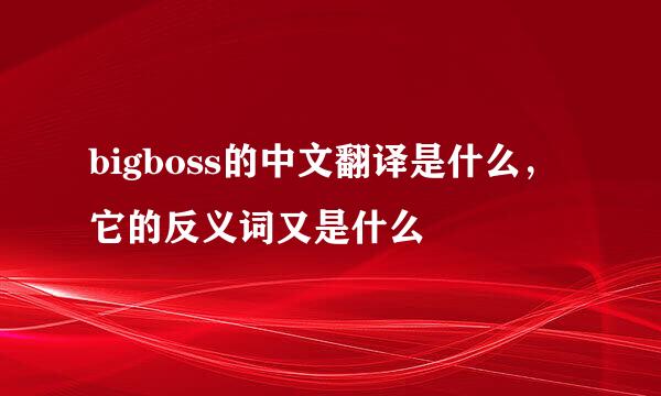 bigboss的中文翻译是什么，它的反义词又是什么