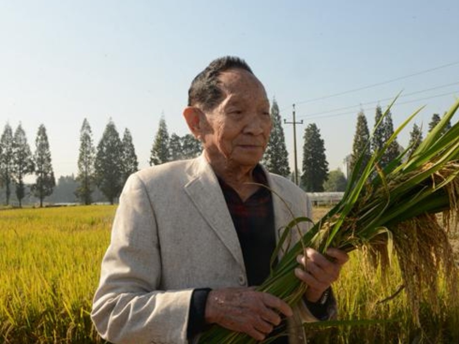 人民日报发文追记袁隆平，你是通过什么了解袁老这个人的？