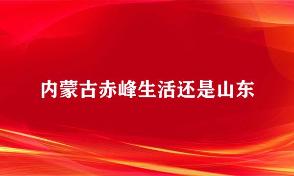 内蒙古赤峰生活还是山东