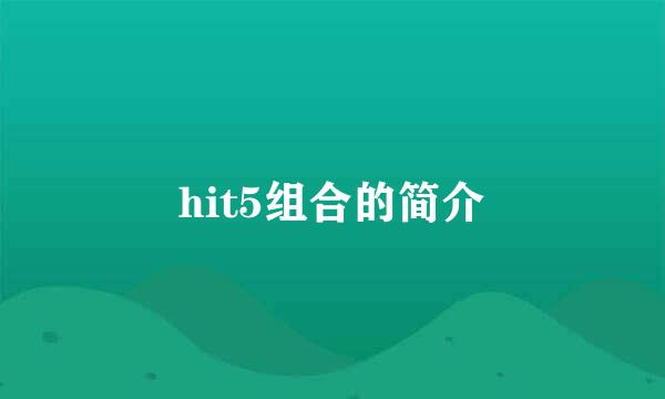 hit5组合的简介