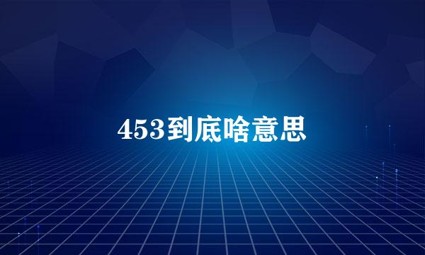 453到底啥意思