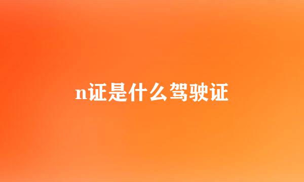 n证是什么驾驶证